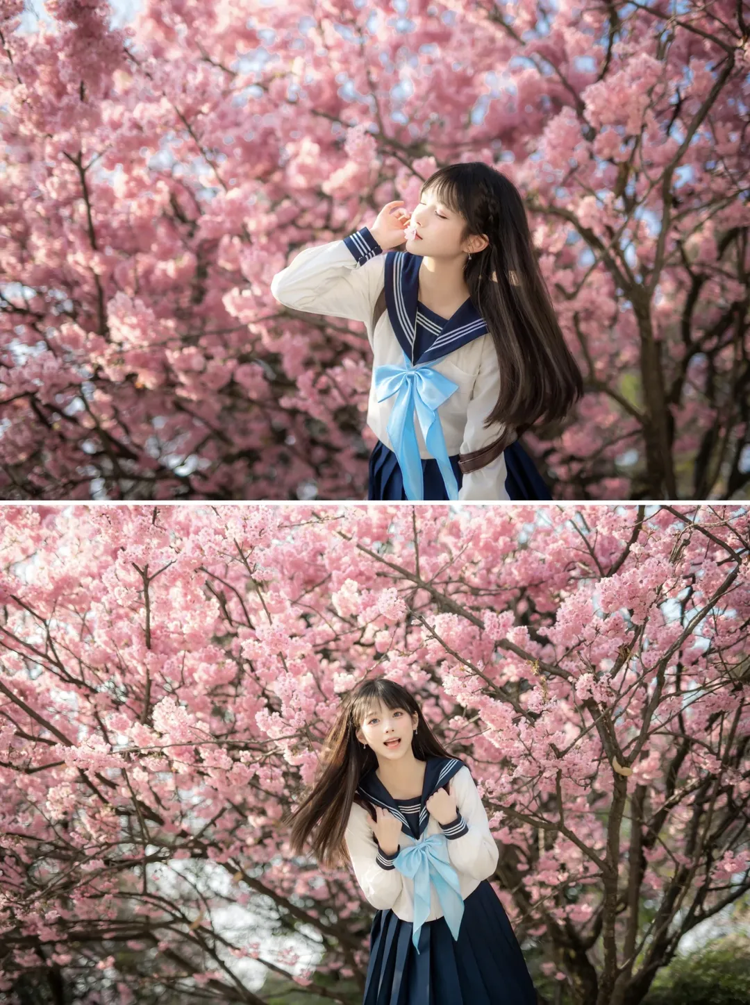 ポートレート, 桜フォトグラフ, 日本の制服, 明日ちゃんコスプレ, 明日ちゃんのセーラー服 - 1枚目