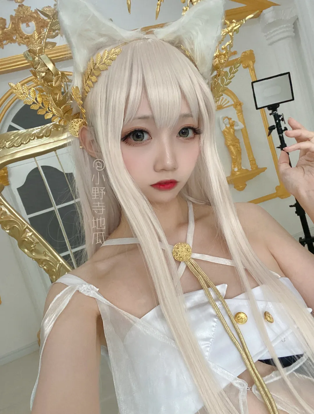 Cosplay摄影, 明日方舟, 兽耳假发, 白金cos, 沈阳约拍 - 第1张