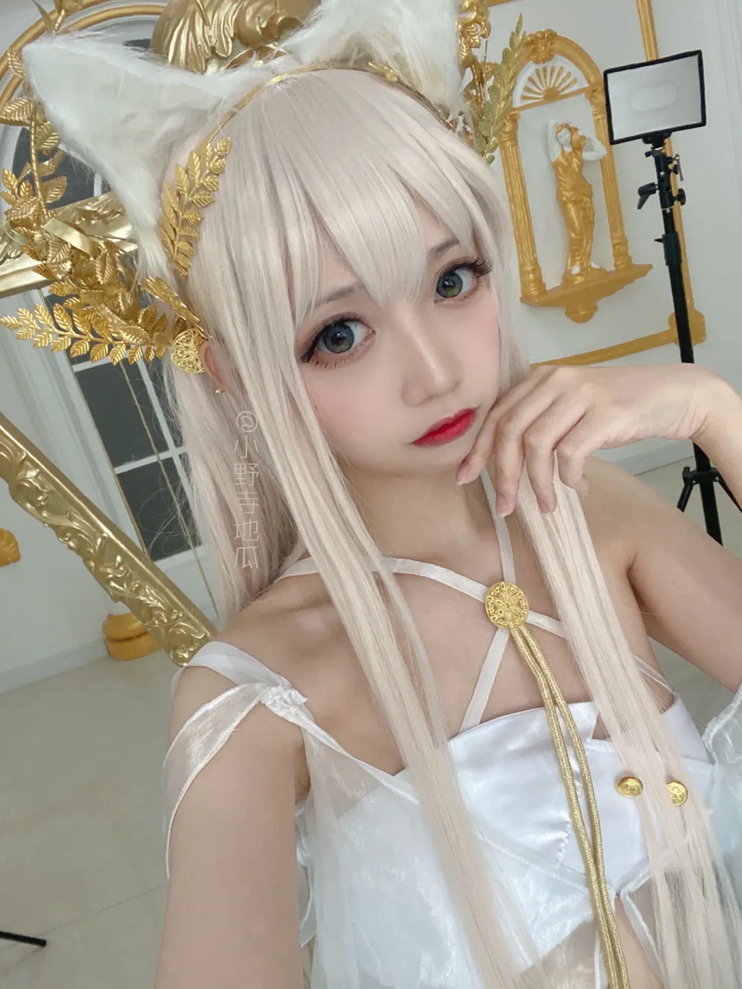 Cosplay photography, Arknights, Animal ear wig, Platinum cosplay, Shenyang photoshoot
