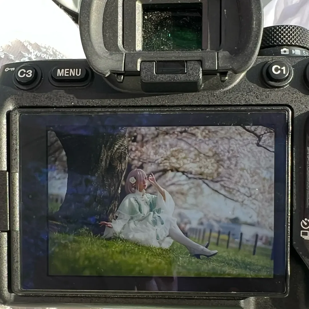 Photography, Fate/Grand Order, White stockings, Cherry blossom season, Mash Kyrielight cosplay - Image 5