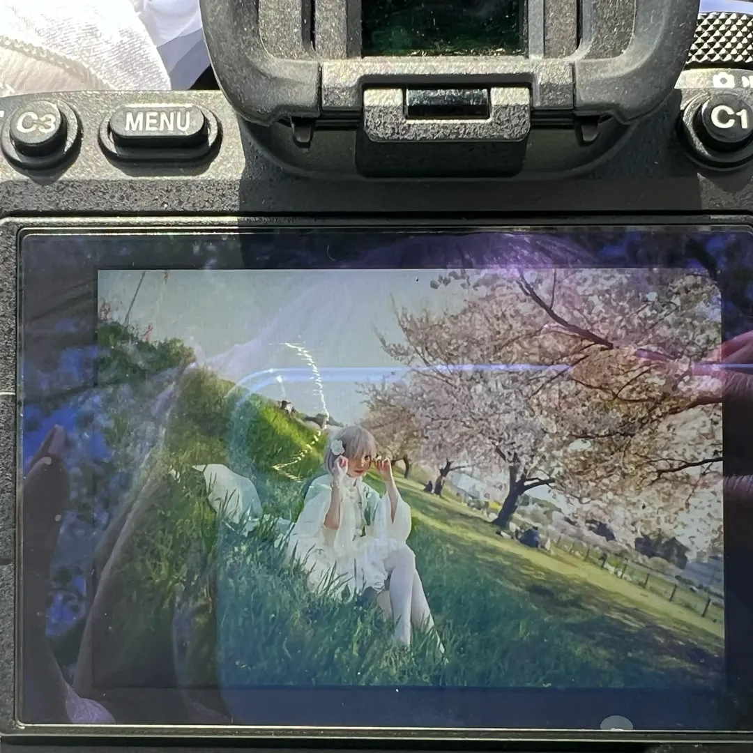 Photography, Fate/Grand Order, White stockings, Cherry blossom season, Mash Kyrielight cosplay - Image 7