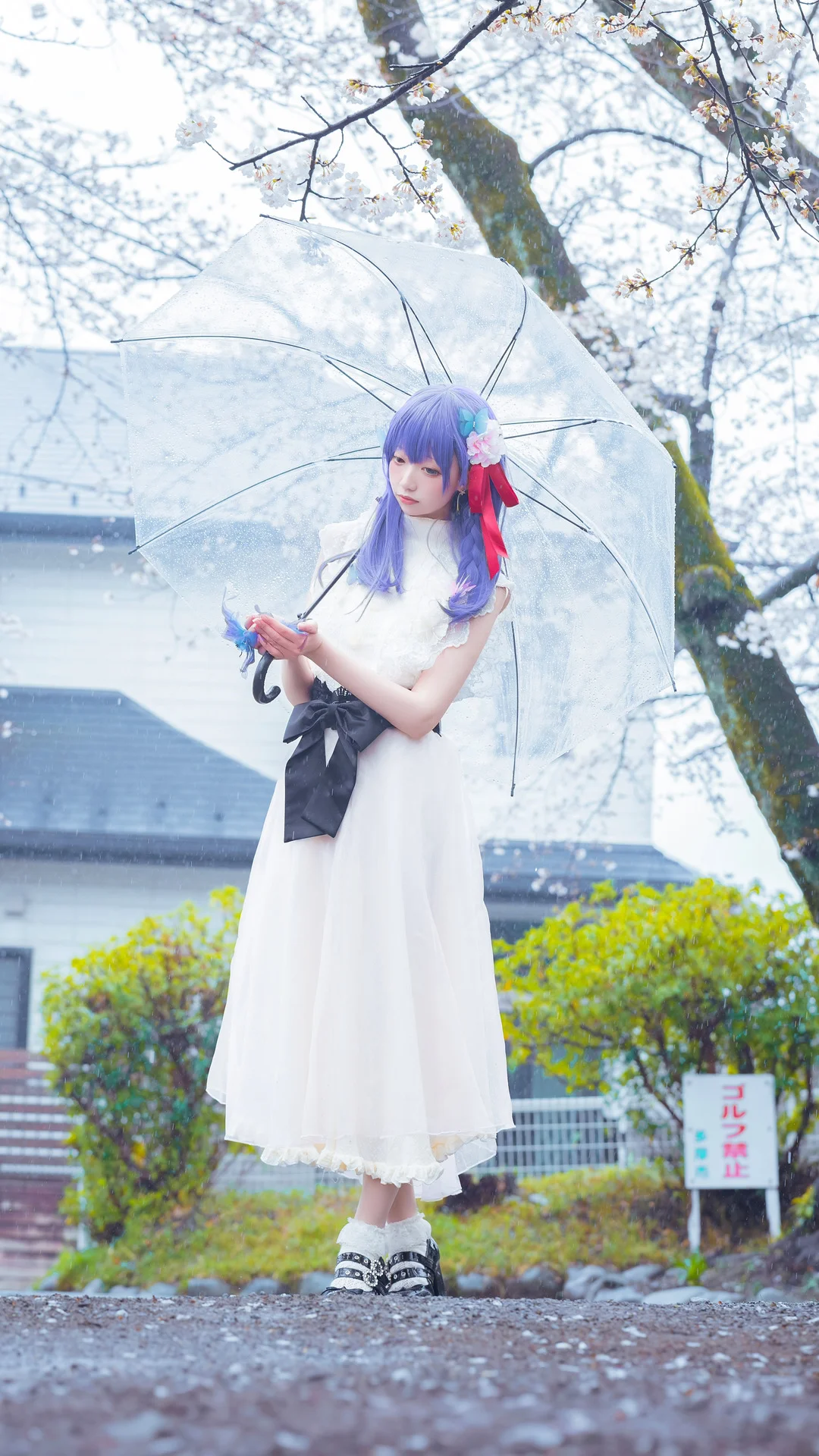 Fateシリーズ, 間桐桜 コスプレ, コスプレ撮影, 桜の季節の写真, 雨の日の雰囲気 - 2枚目
