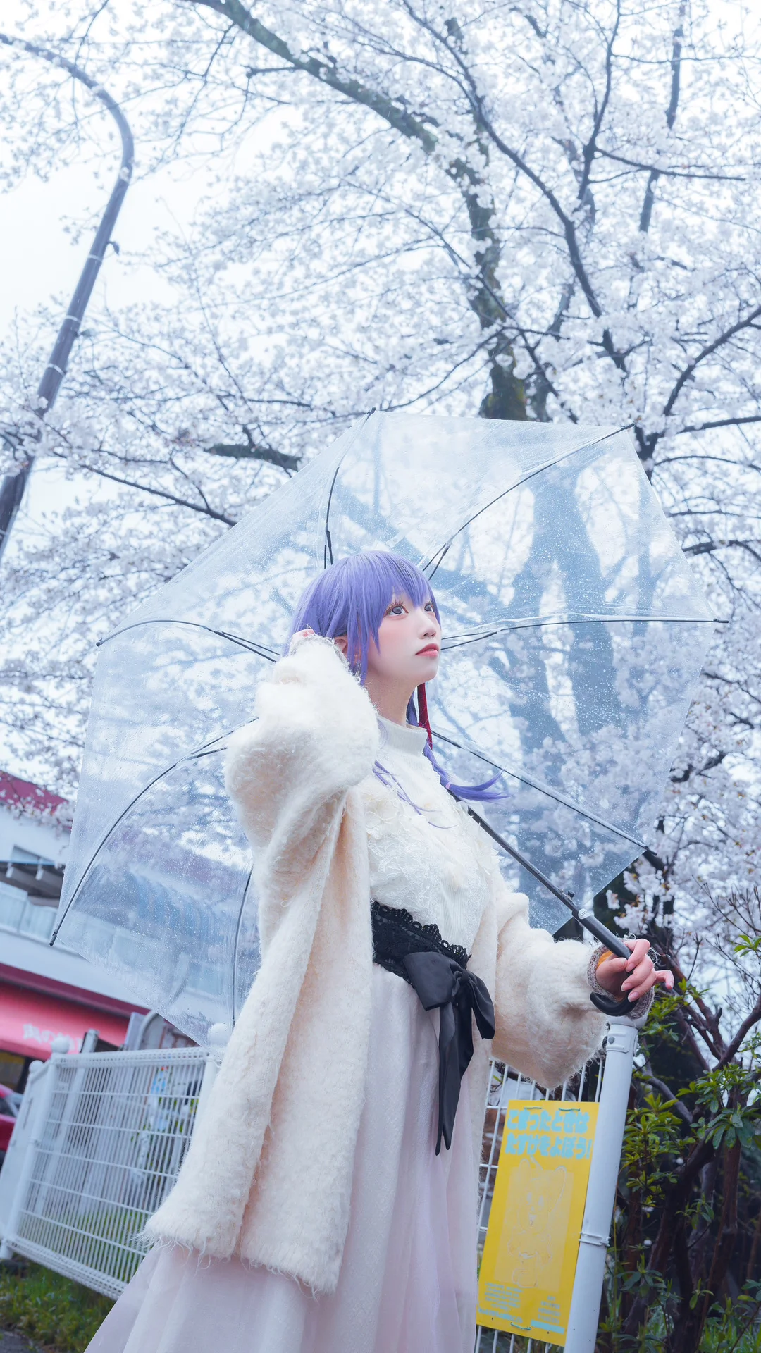 Fateシリーズ, 間桐桜 コスプレ, コスプレ撮影, 桜の季節の写真, 雨の日の雰囲気 - 3枚目