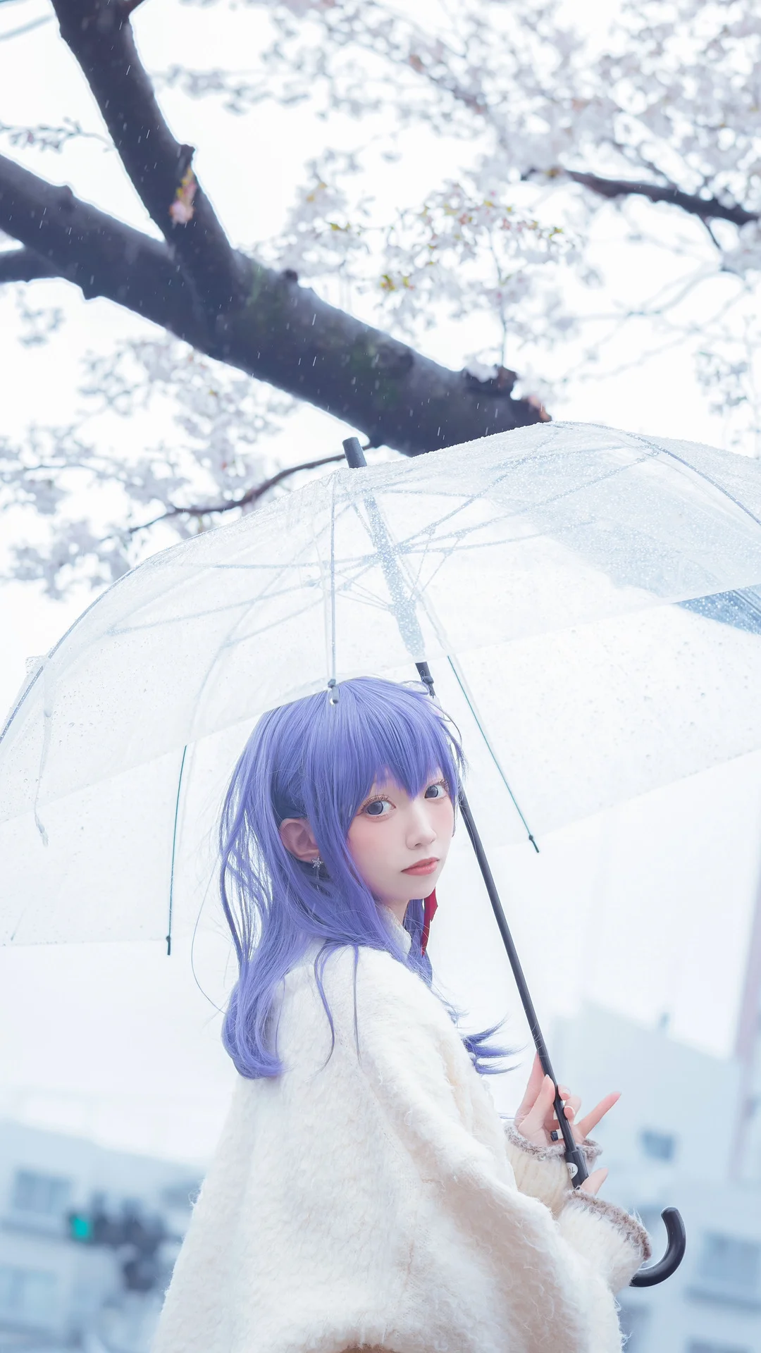 Fateシリーズ, 間桐桜 コスプレ, コスプレ撮影, 桜の季節の写真, 雨の日の雰囲気