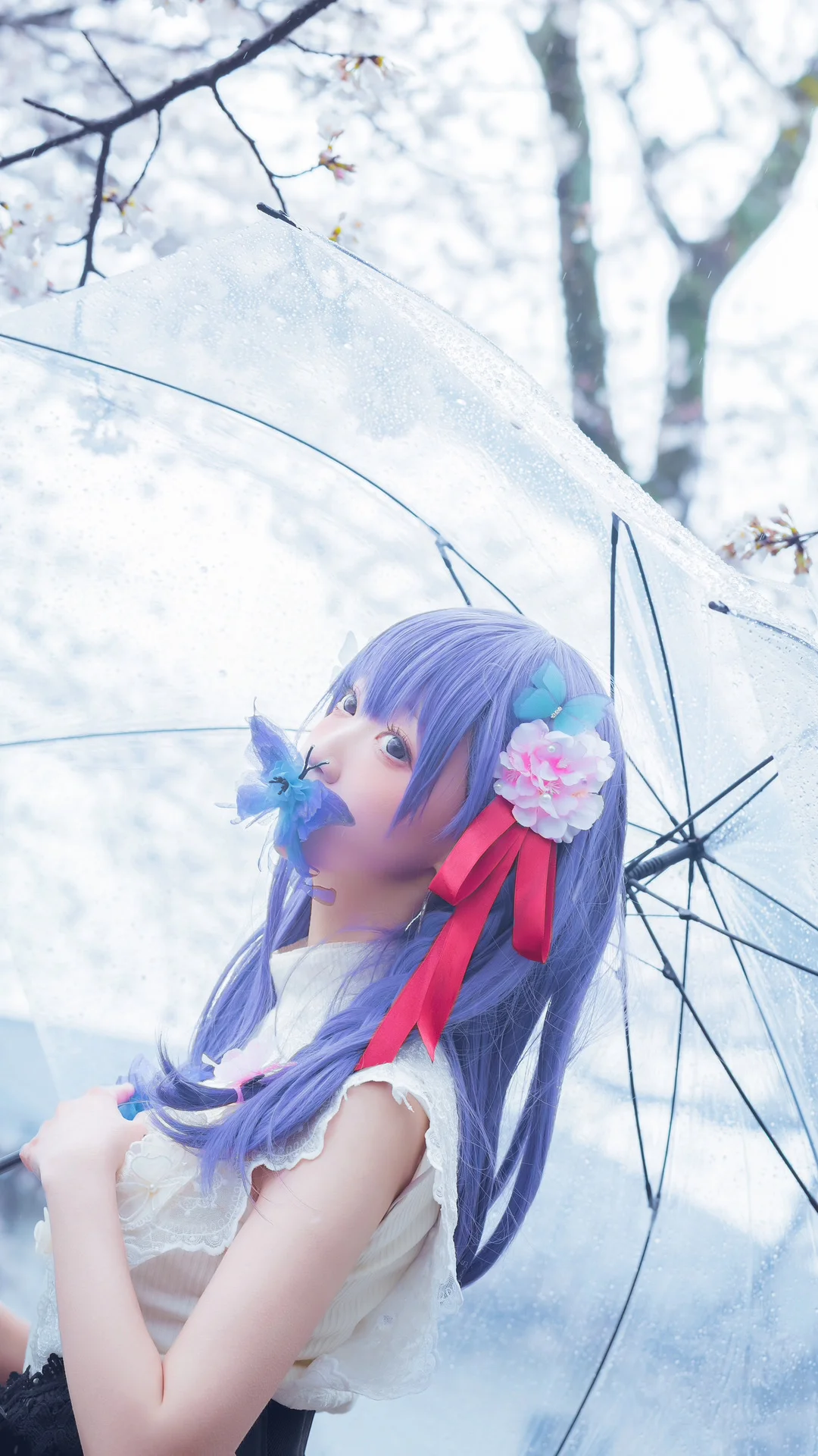 Fateシリーズ, 間桐桜 コスプレ, コスプレ撮影, 桜の季節の写真, 雨の日の雰囲気 - 7枚目