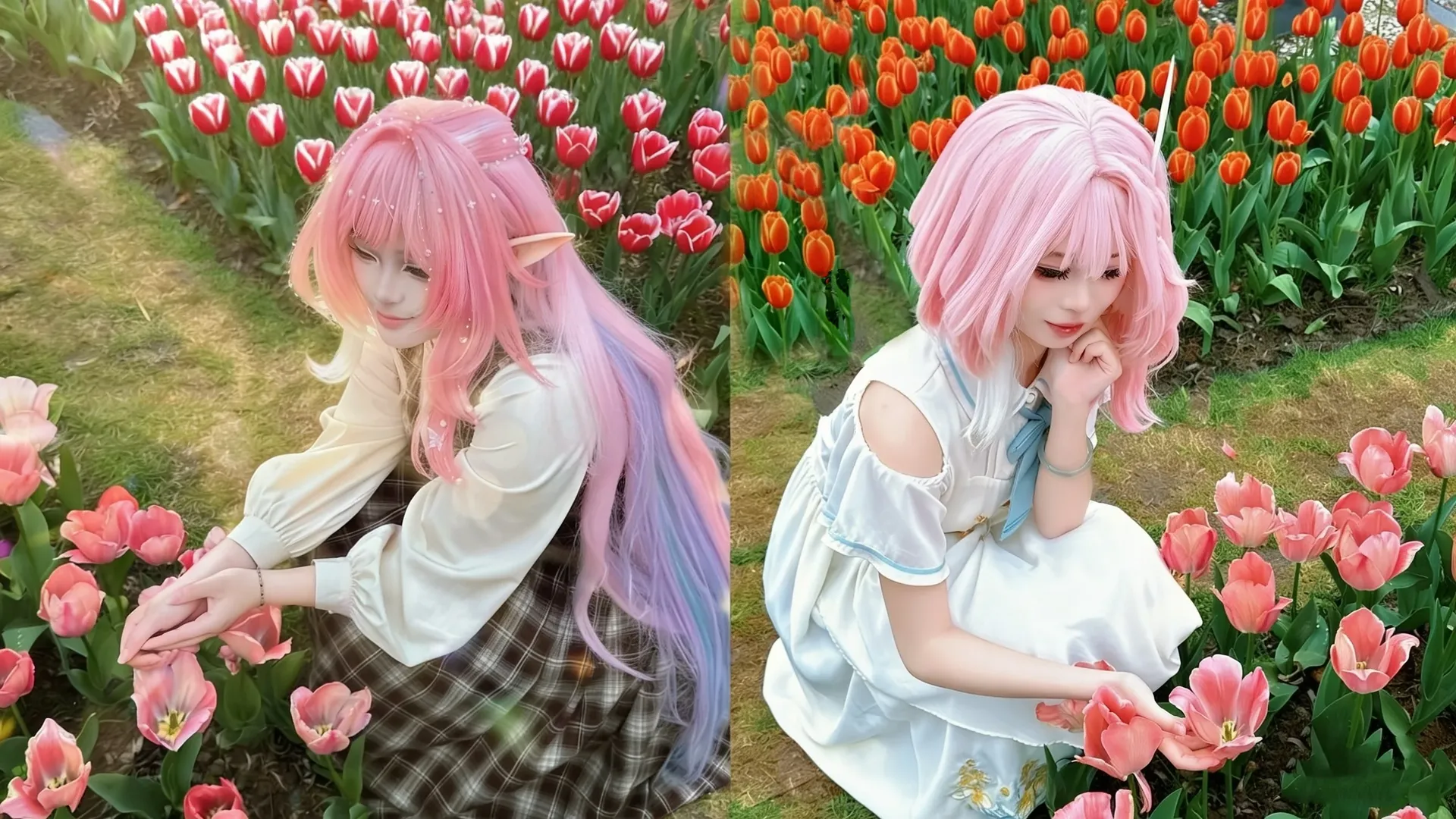 昔涟cos, 崩坏星穹铁道, 私设cos, 花海写真, 精灵耳造型