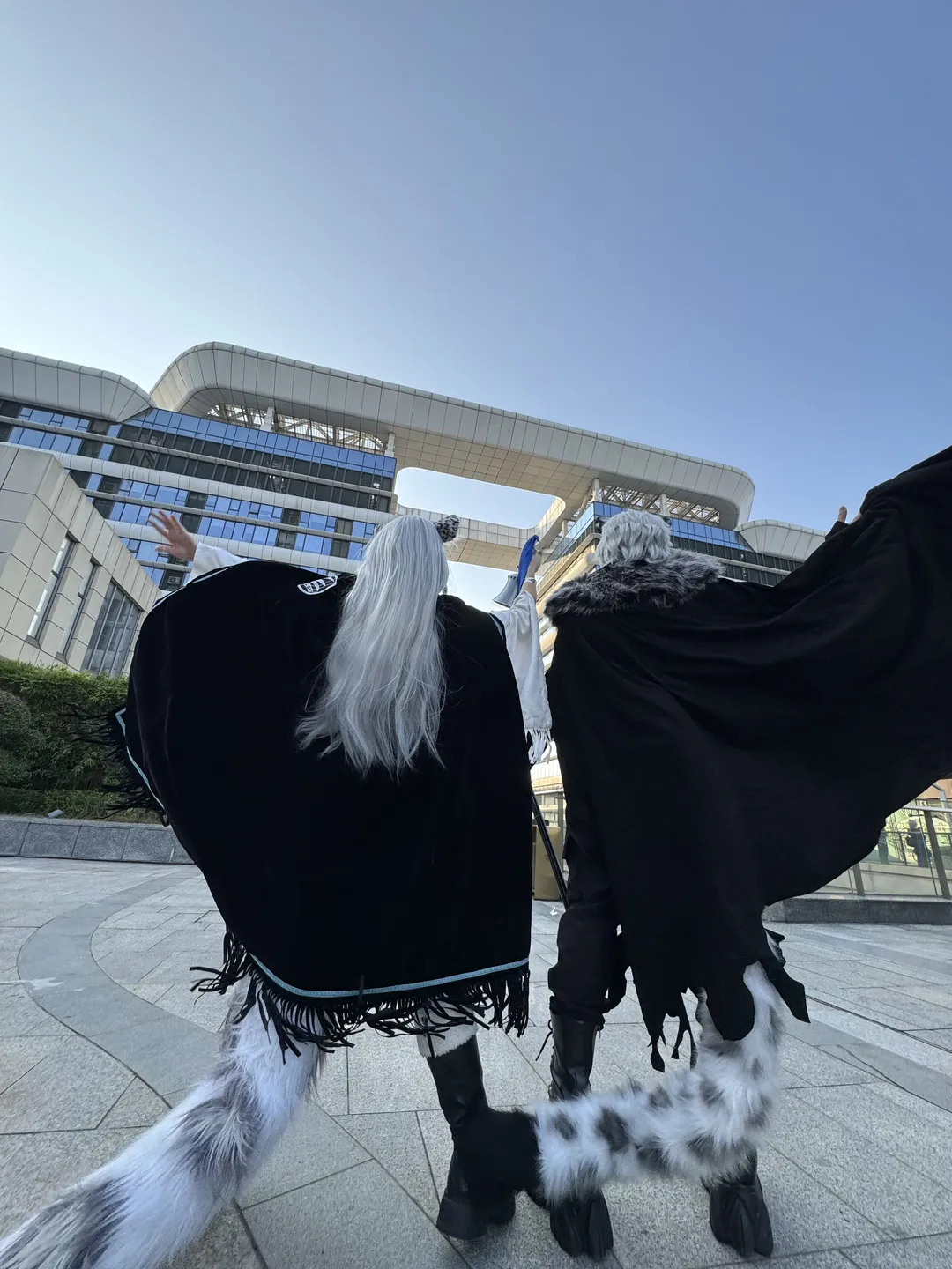 初雪cos, 明日方舟, 兽耳, 白丝cos, 银灰cos - 第4张