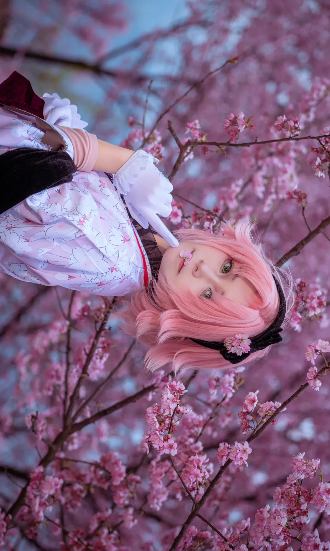 2次元少女, 桜の季節, 和風ロケーション, 重慶コスプレ, 春野サクラコスプレ - 3枚目