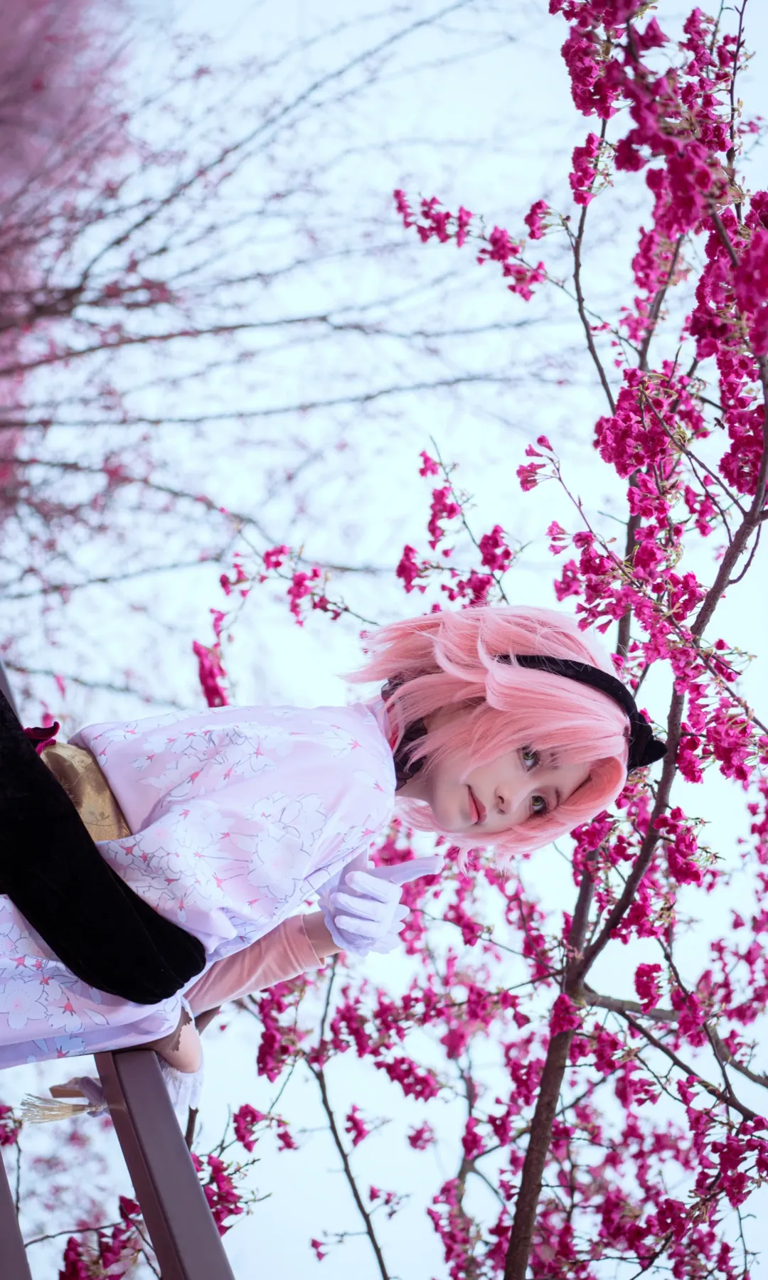 2次元少女, 桜の季節, 和風ロケーション, 重慶コスプレ, 春野サクラコスプレ - 8枚目