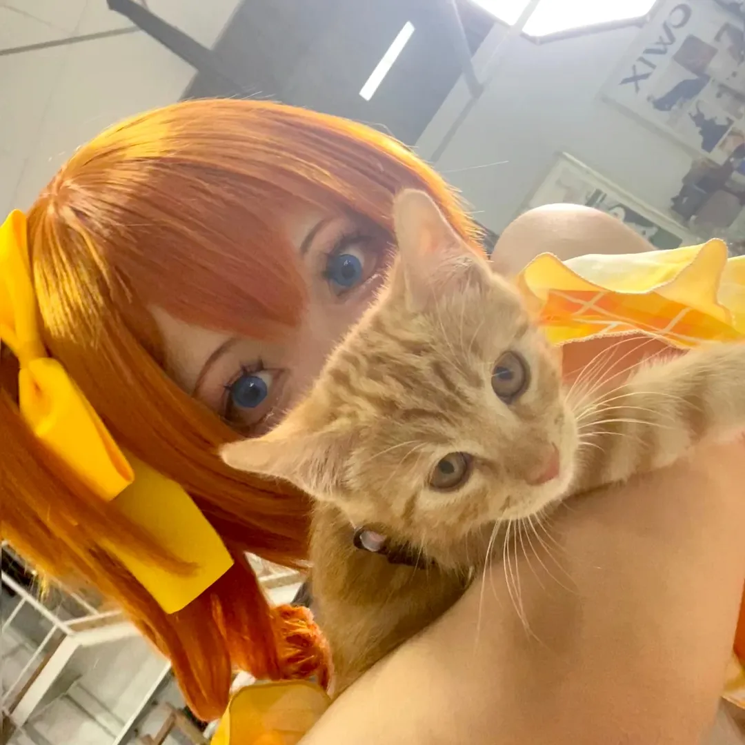 cosplay日常, LoveLive!, 穗乃果cos, 橘猫, 萌宠互动