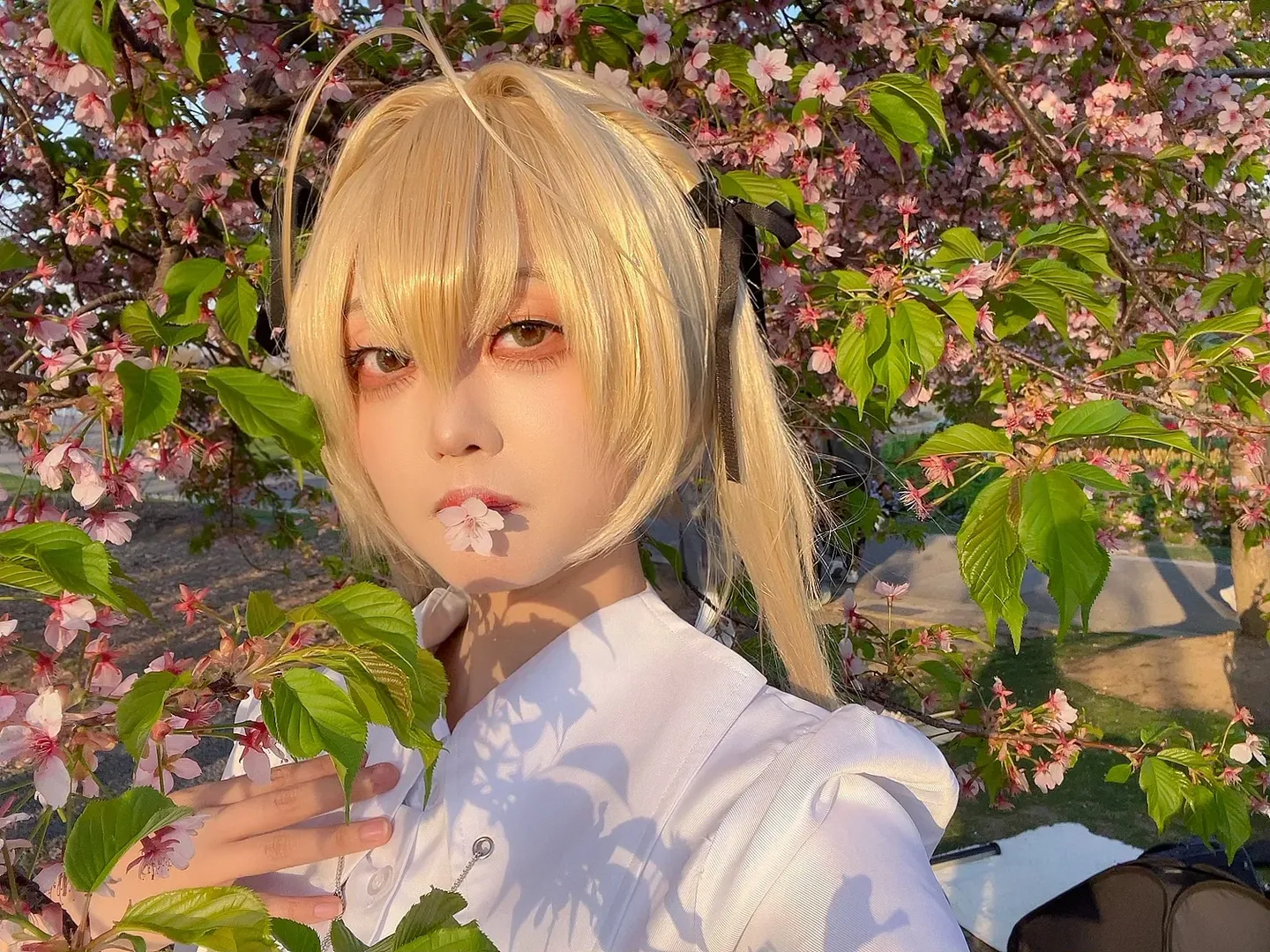 二次元, 樱花, 春日野穹cos, 缘之空, 辰山植物园 - 第5张