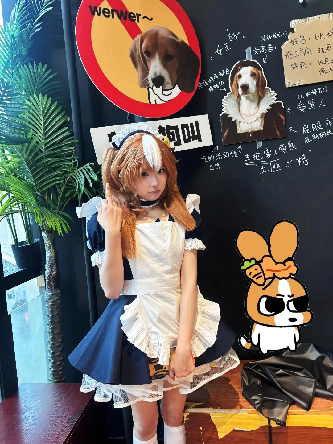 白ニーソコーデ, 日常コスプレ, メイドコスプレ, ペットショップの写真撮影, ビーグル - 2枚目