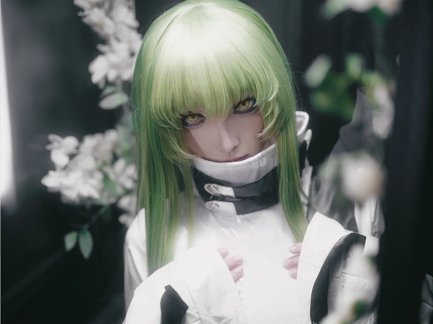 二次元cos, cosplay摄影, CCcos, 反叛的鲁鲁修, 永恒之约