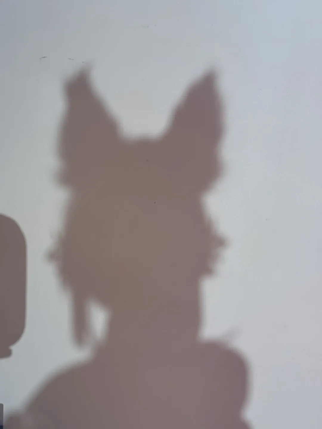 崩坏星穹铁道, 停云cos, 对镜自拍, cosplay试衣, 狐人装扮 - 第6张