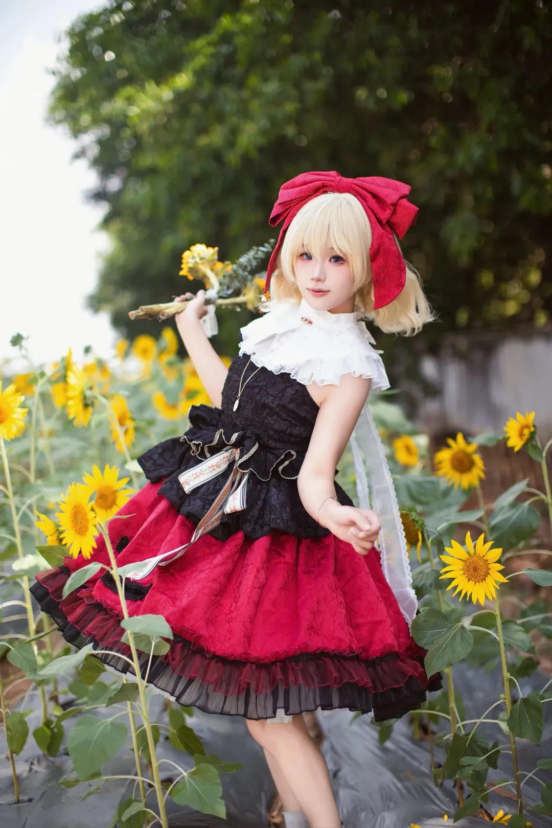 cosplay, 东方project, 摄影, 向日葵, 梅蒂欣梅兰可莉cos