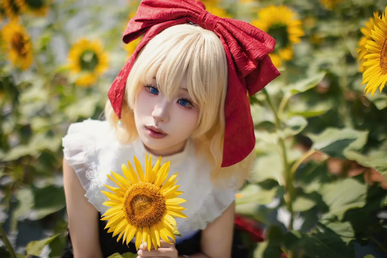 cosplay, 东方project, 摄影, 向日葵, 梅蒂欣梅兰可莉cos - 第3张