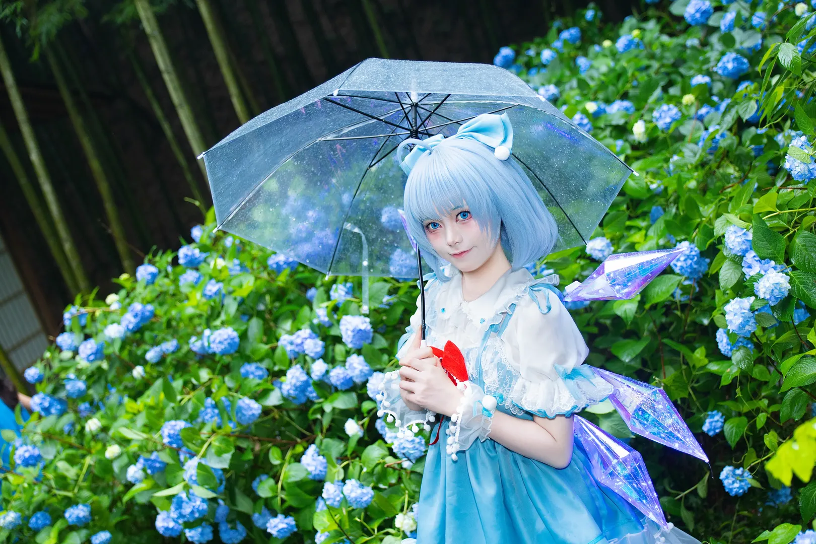 東方Project, 青系, チルノコスプレ, 寒色系, 雨の中のコスプレ