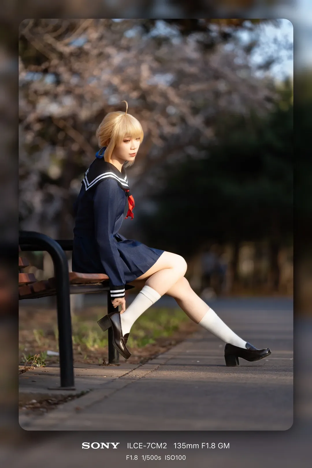 Fate/Grand Order, White stockings, Sony mirrorless camera, High school girl, Saber cosplay
