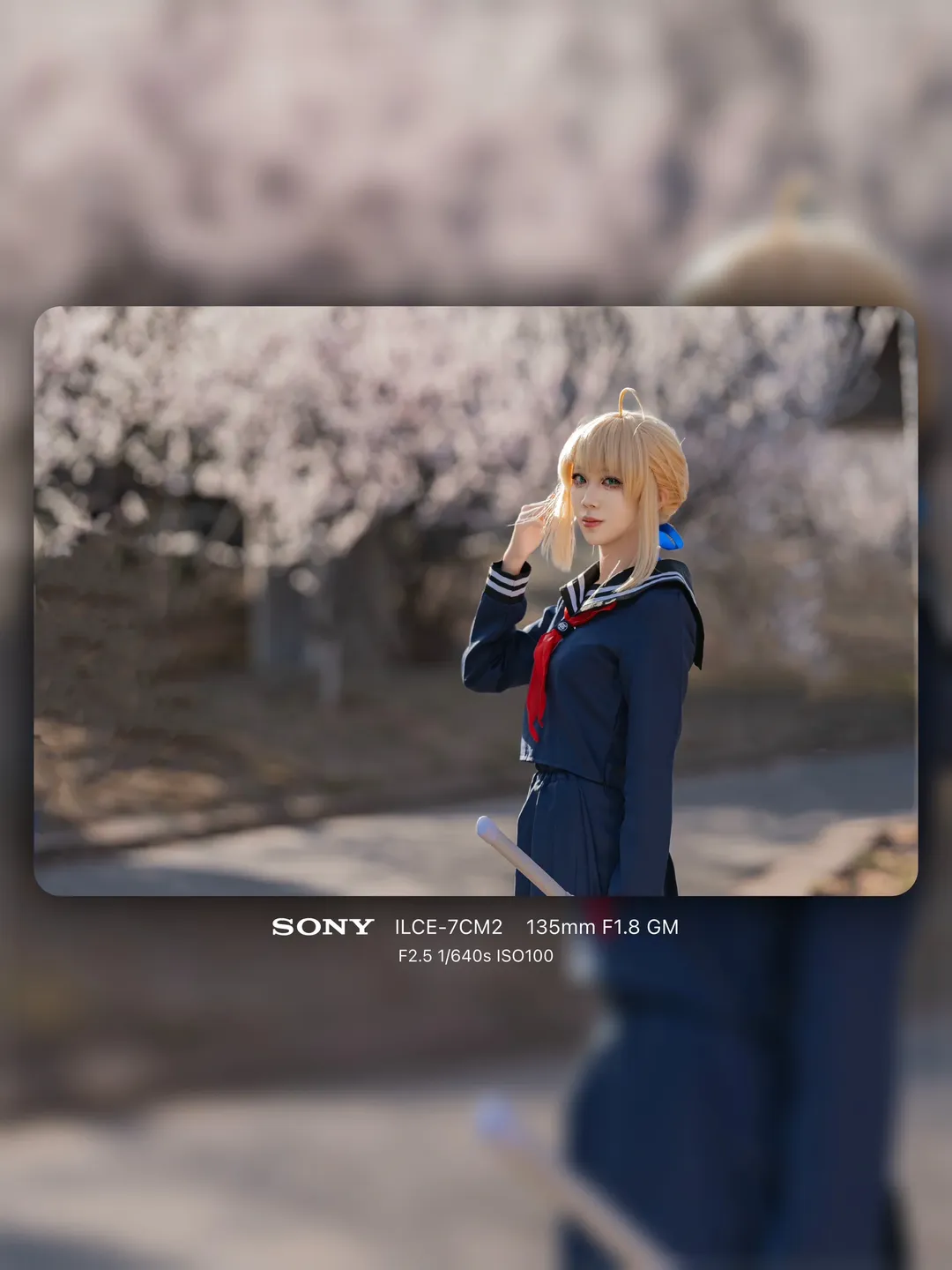 Fate/Grand Order, アルトリア コスプレ, 白ストッキング, 春の桜, ソニーポートレート撮影