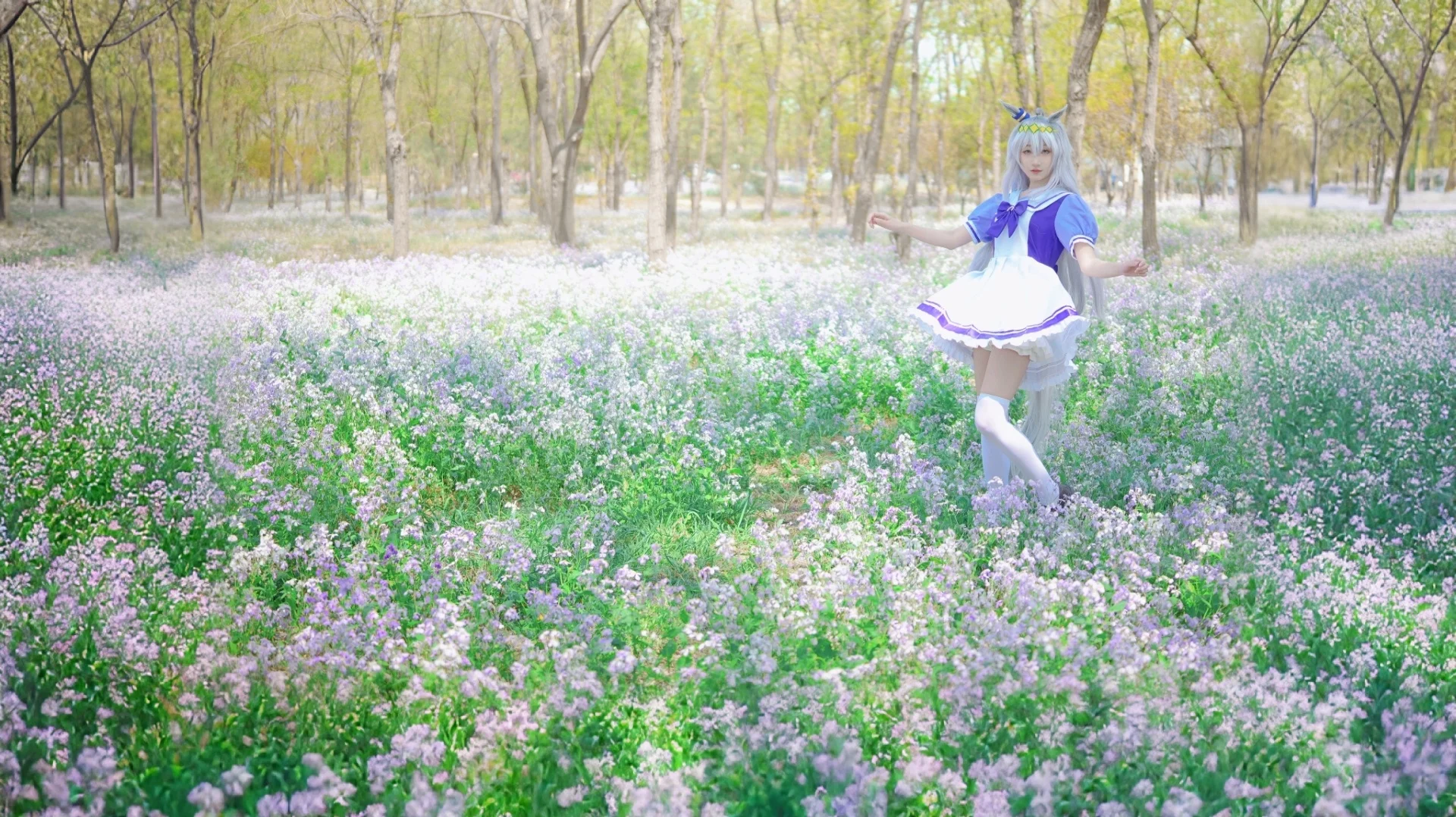 白丝, 赛马娘, 银发, 小栗帽cos, 紫云英花海 - 第3张