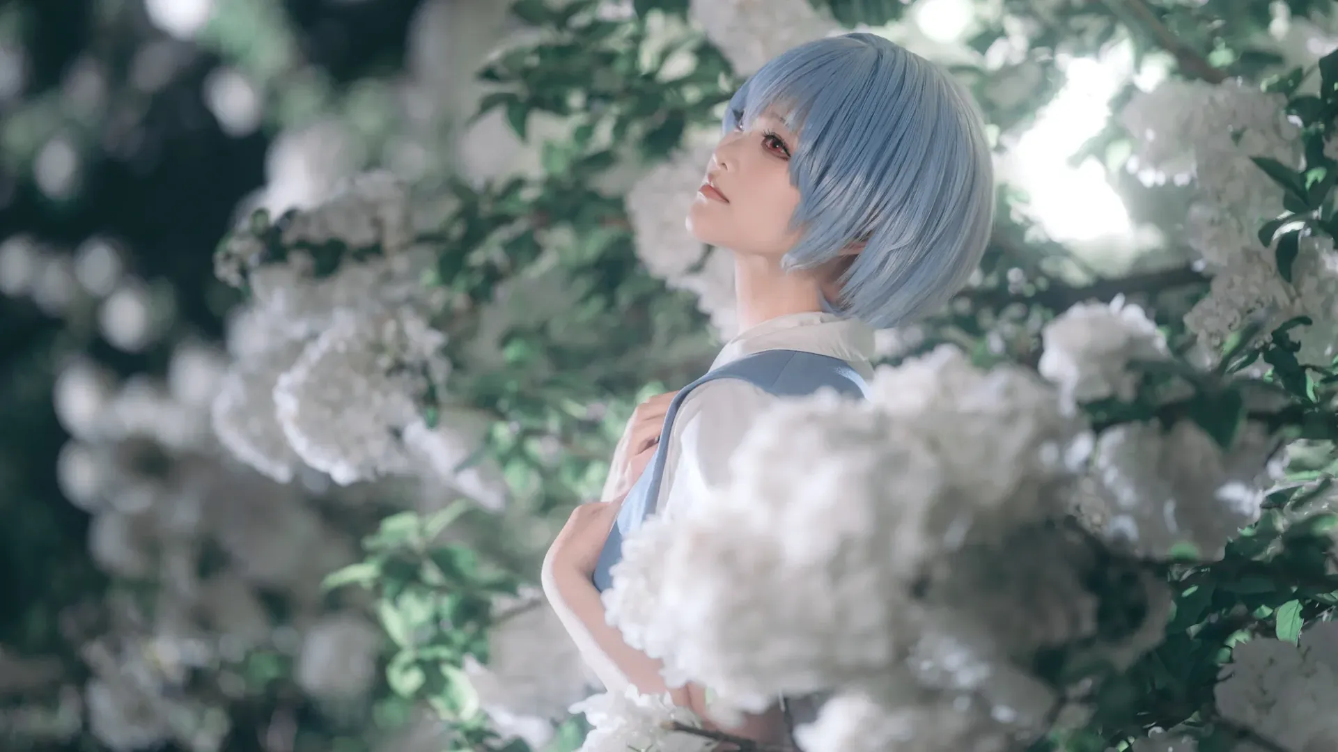 氛围感, 绣球花, 绫波丽cos, 上海约拍, 新世纪福音战士