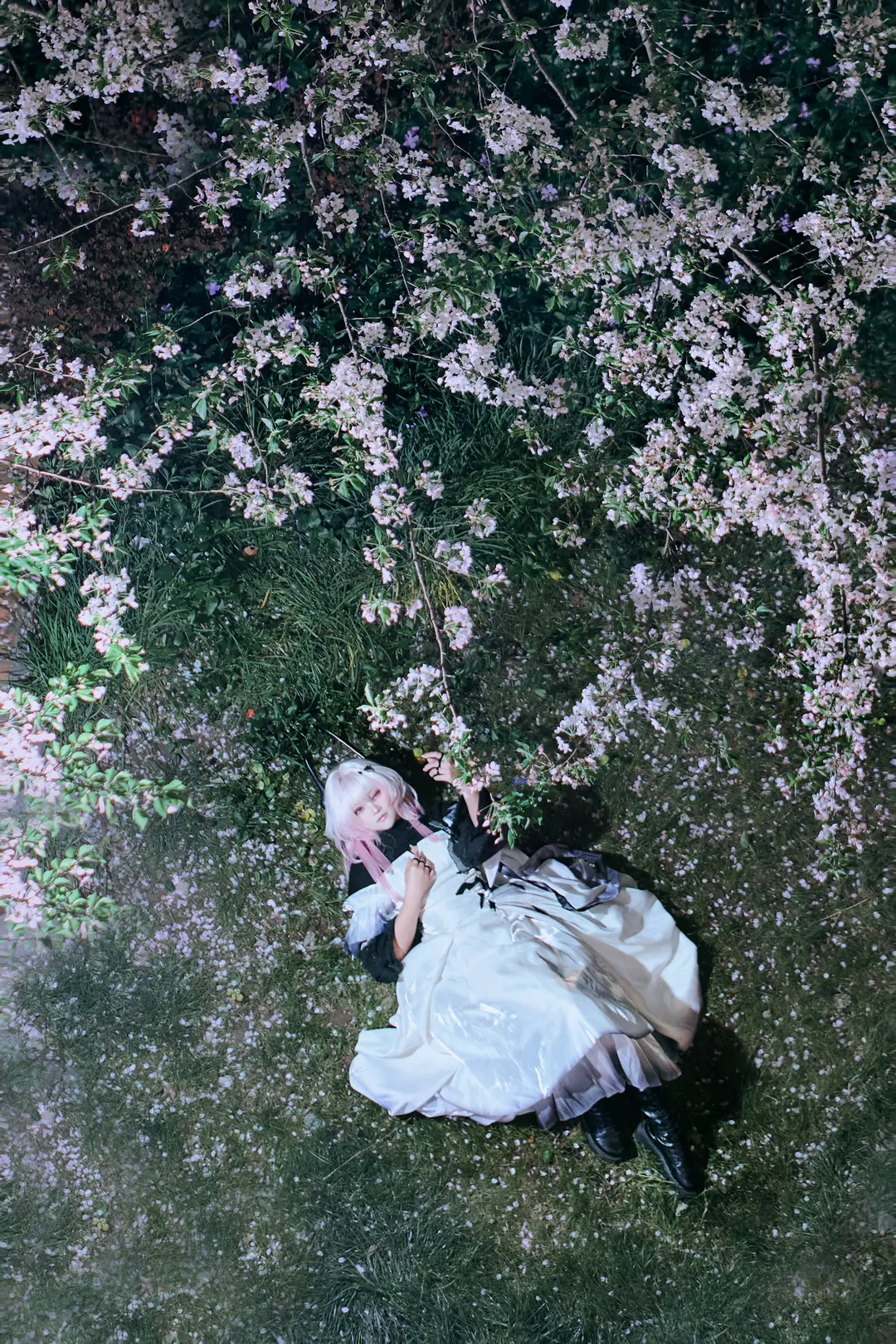 明日方舟, 夜景人像, 特蕾西娅cos, cosplay摄影, 花海写真
