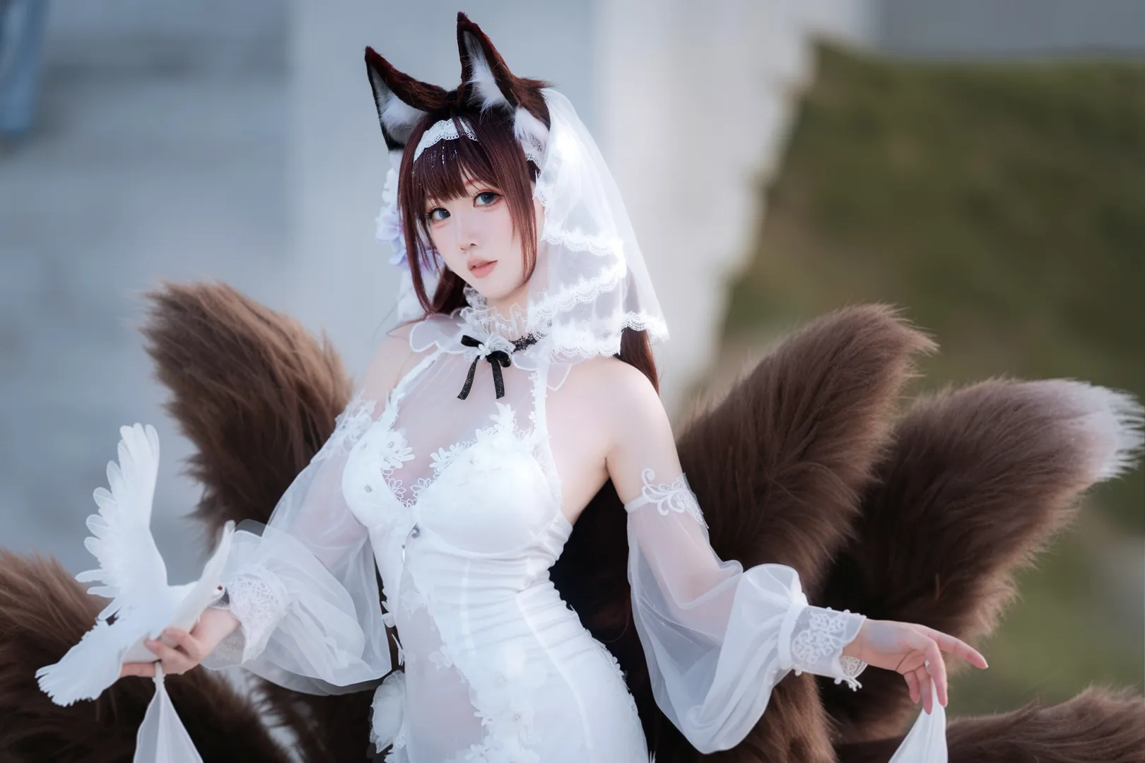 アズールレーン, 白ストッキング, 天城 コスプレ, 狐耳, 天城 水月の花燭コスプレ - 5枚目