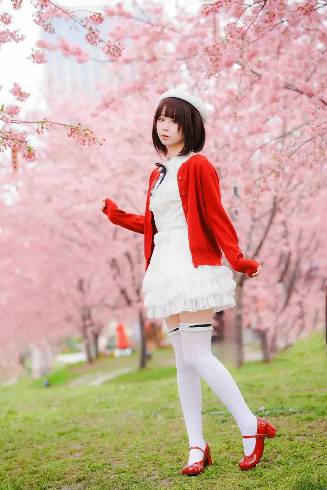人像摄影, 白丝, 加藤惠cos, 路人女主的养成方法, 樱花写真