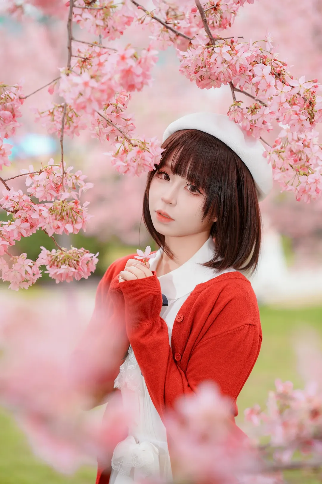 人像摄影, 白丝, 加藤惠cos, 路人女主的养成方法, 樱花写真 - 第3张