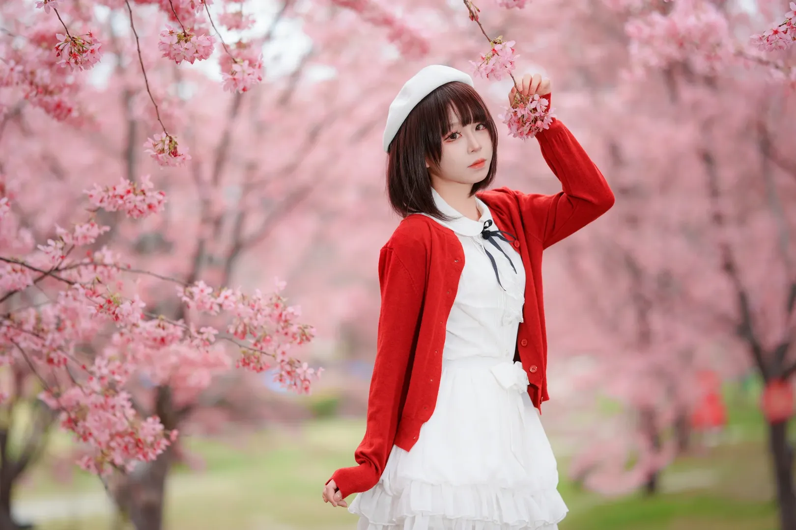 人像摄影, 白丝, 加藤惠cos, 路人女主的养成方法, 樱花写真 - 第5张