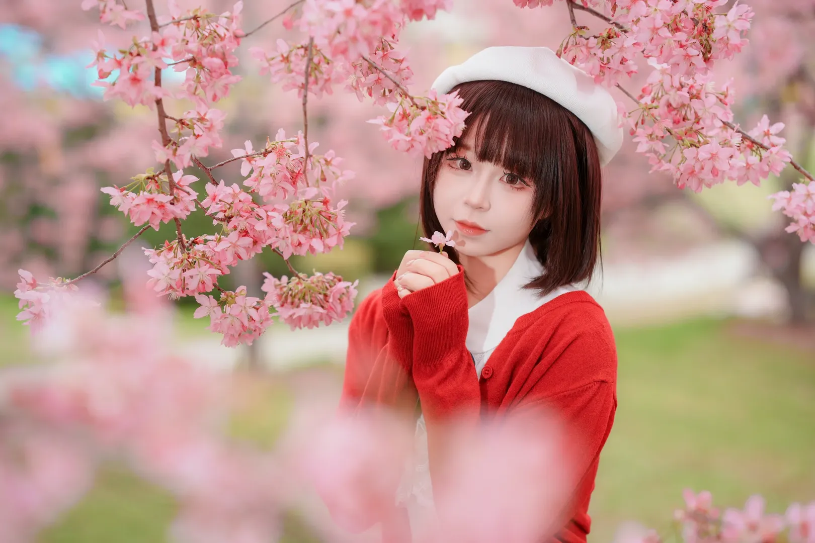 人像摄影, 白丝, 加藤惠cos, 路人女主的养成方法, 樱花写真 - 第7张