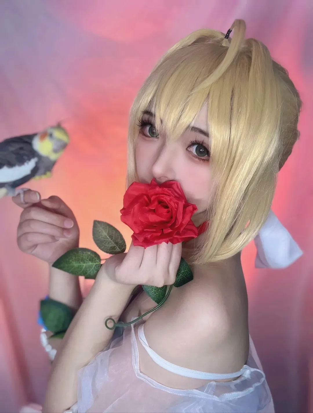 FGO, 尼禄cos, 二次元Coser, 红玫瑰, 玄凤鹦鹉 - 第1张