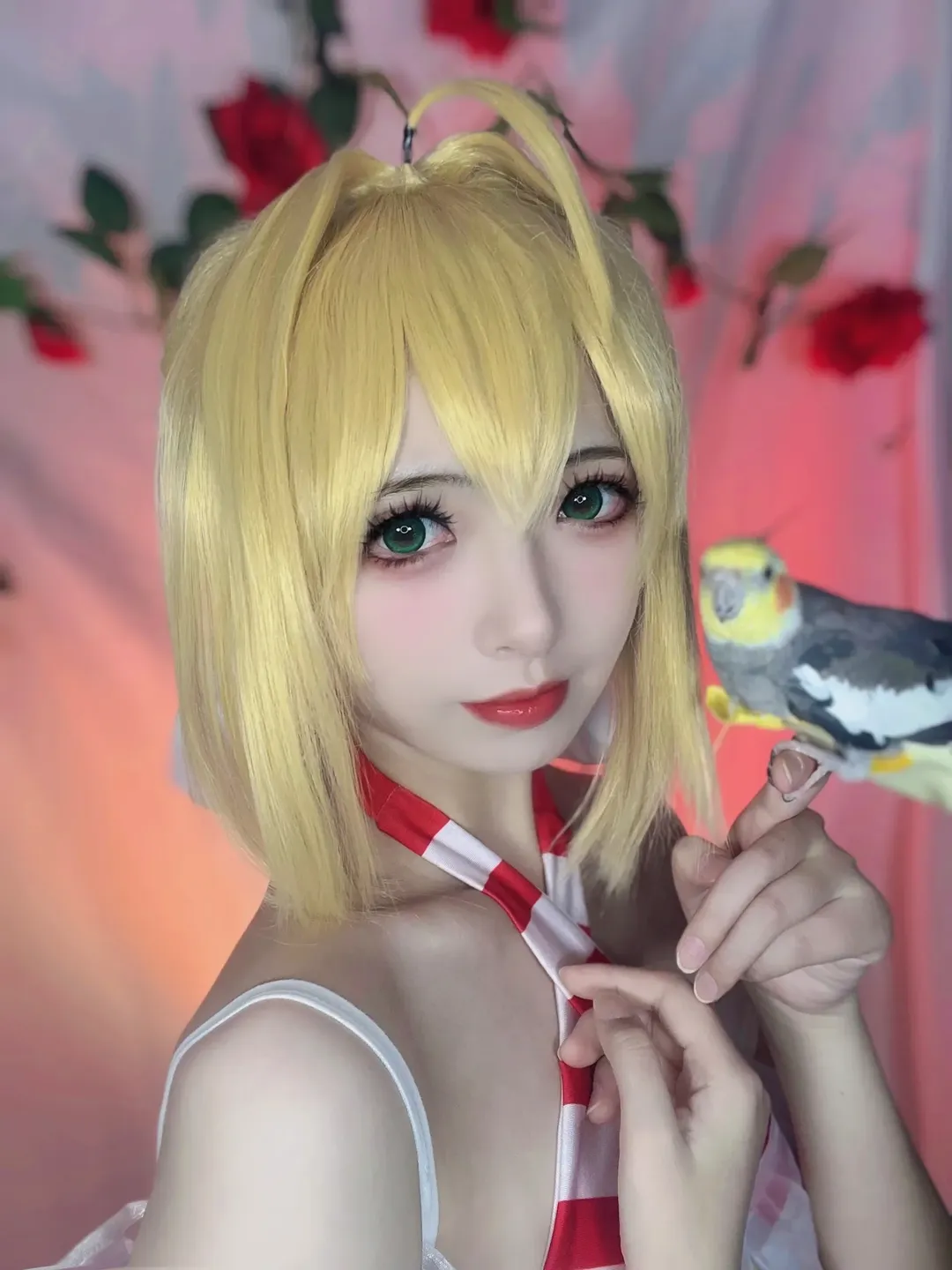 FGO, 尼禄cos, 二次元Coser, 红玫瑰, 玄凤鹦鹉 - 第4张