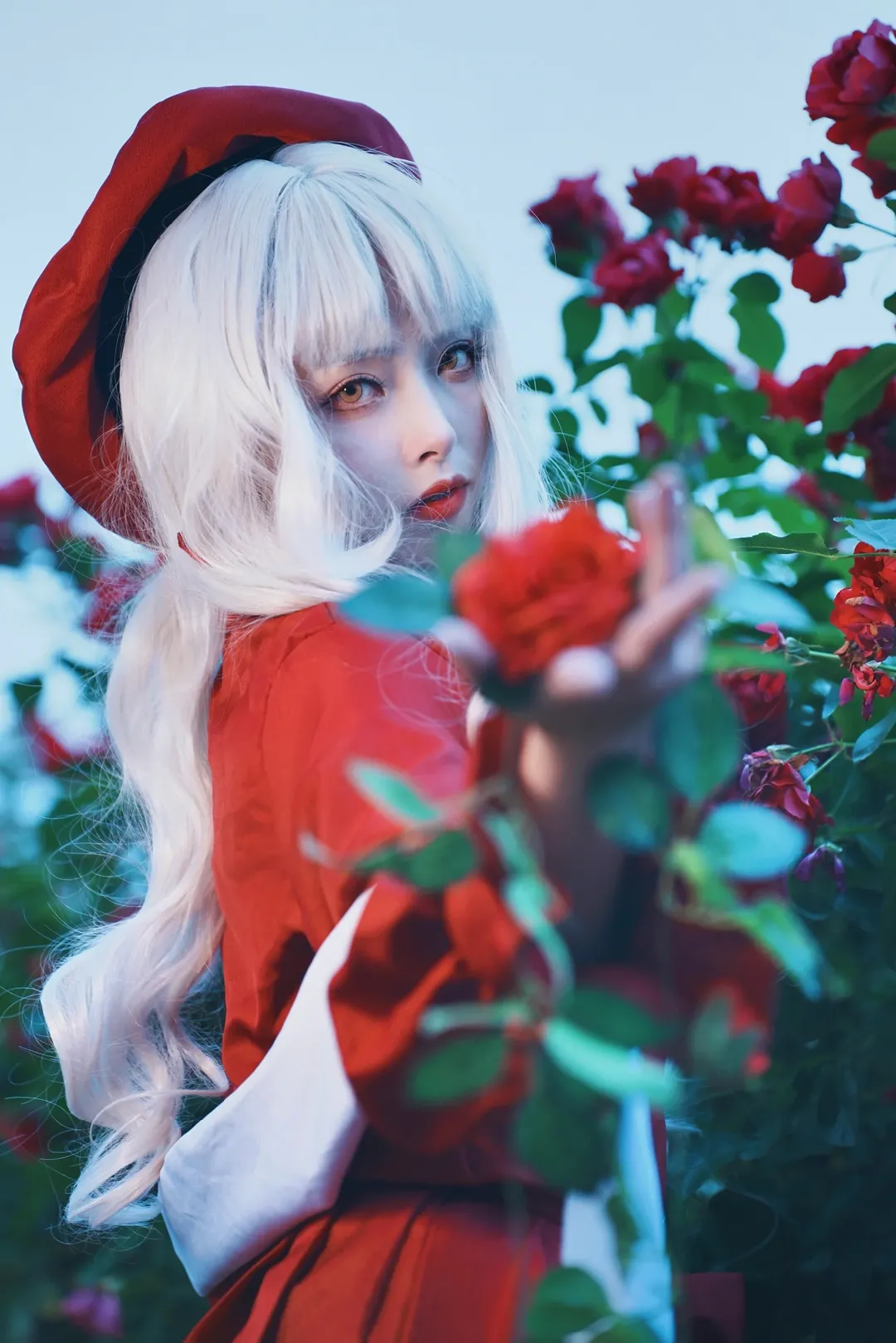 Fate/Grand Order, 白毛, 卡莲cos, 情人节, 玫瑰