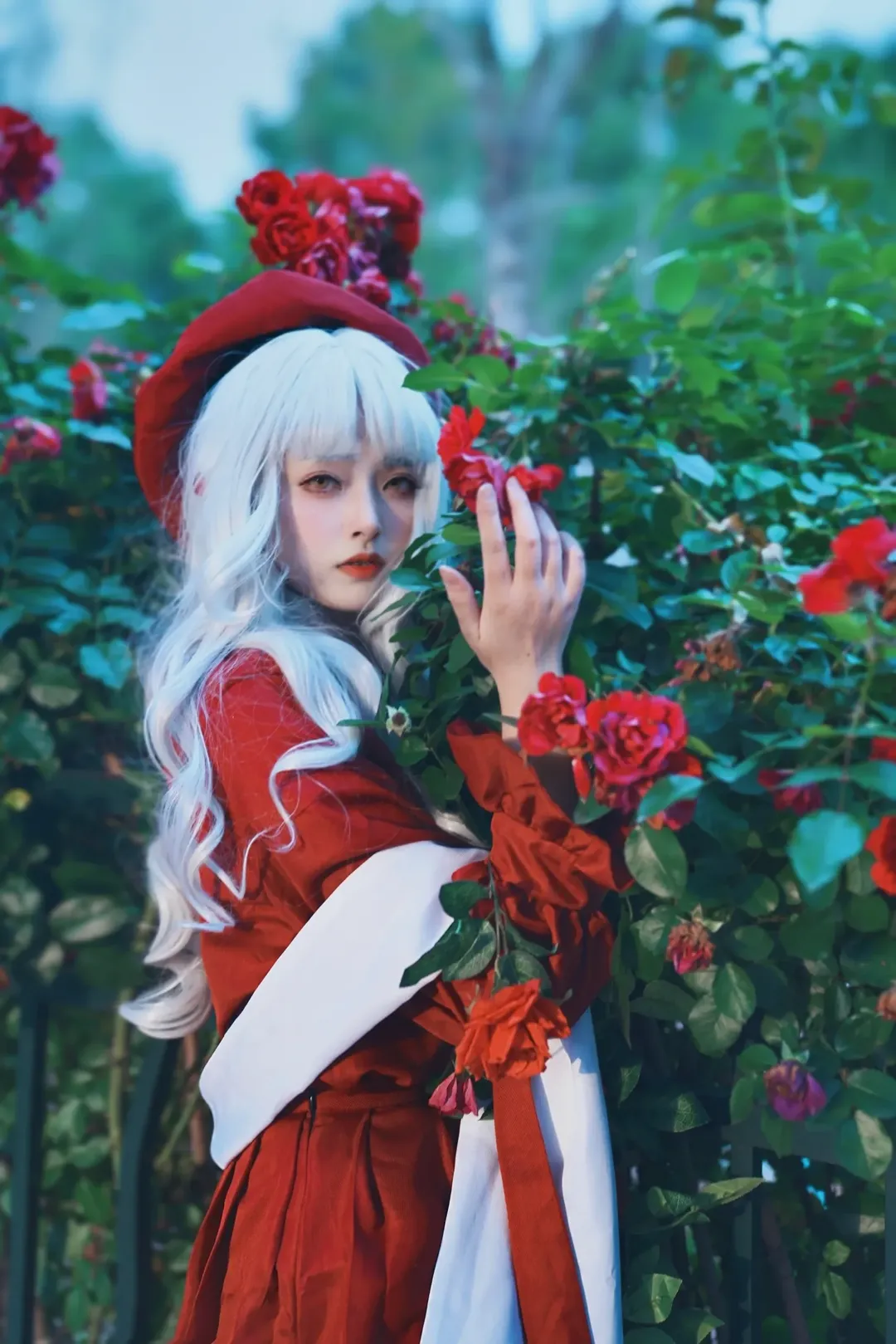 Fate/Grand Order, 白毛, 卡莲cos, 情人节, 玫瑰 - 第4张