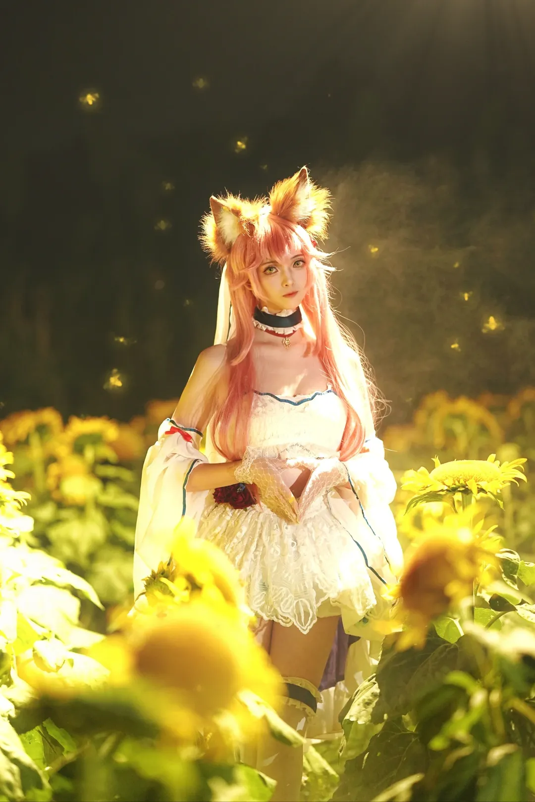 Fate/Grand Order, 夜景摄影, 玉藻前cos, 向日葵花海, 丝袜cos