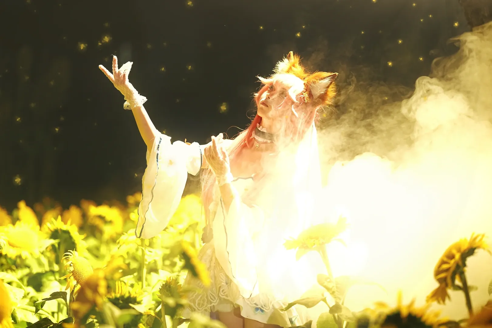 Fate/Grand Order, 夜景摄影, 玉藻前cos, 向日葵花海, 丝袜cos - 第3张
