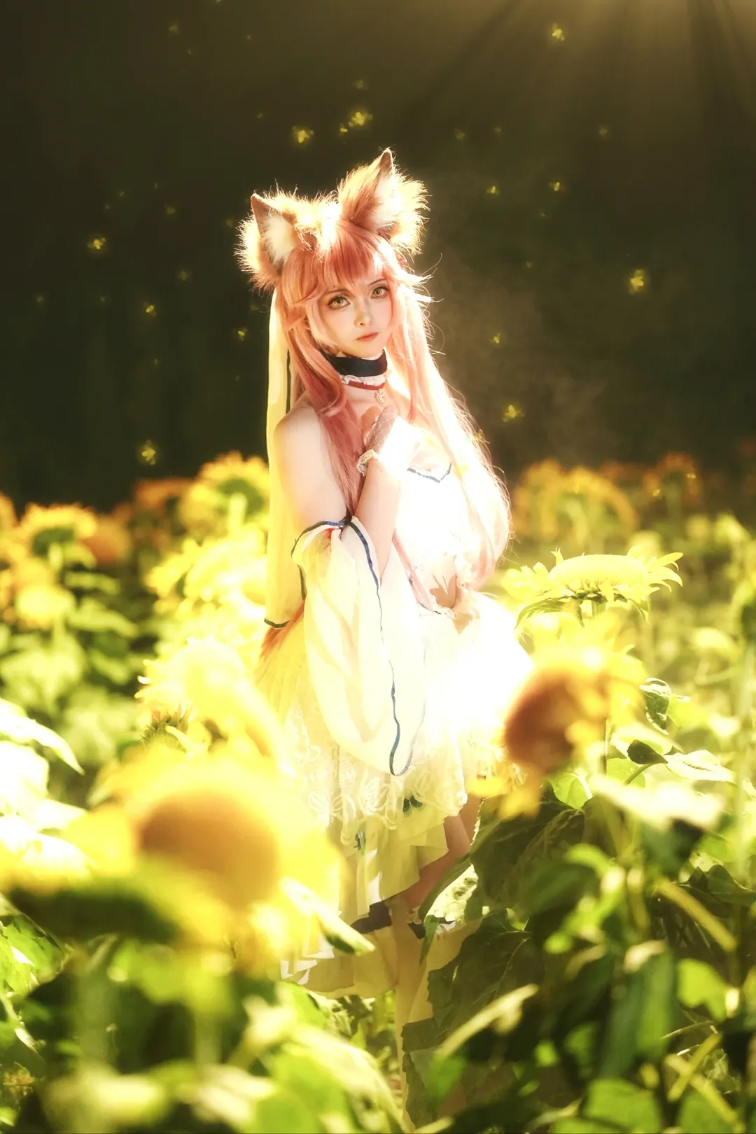 Fate/Grand Order, 夜景摄影, 玉藻前cos, 向日葵花海, 丝袜cos - 第5张