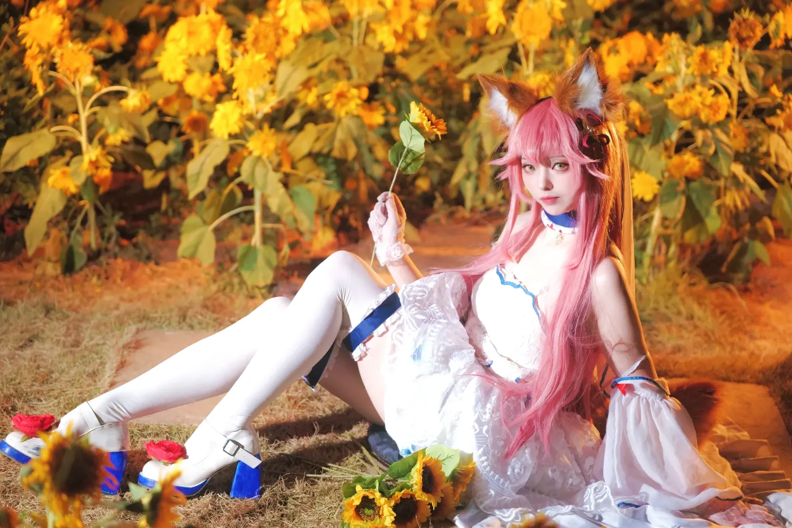 Fate/Grand Order, 白丝, 夜景人像, 玉藻前cos, 向日葵