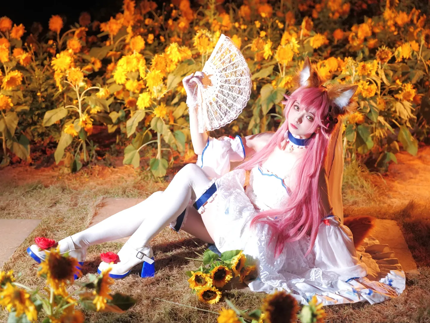 Fate/Grand Order, 白丝, 夜景人像, 玉藻前cos, 向日葵 - 第2张