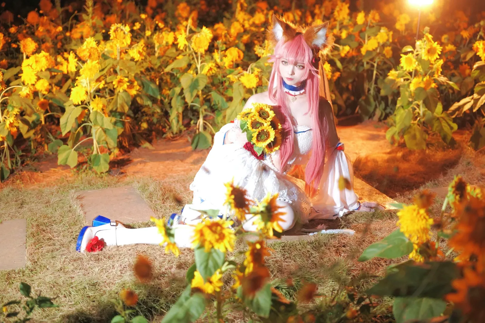 Fate/Grand Order, 白丝, 夜景人像, 玉藻前cos, 向日葵 - 第3张