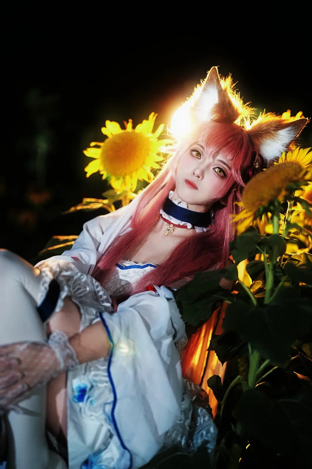 cosplay, Fate/Grand Order, 白丝, 玉藻前cos, 向日葵 - 第1张