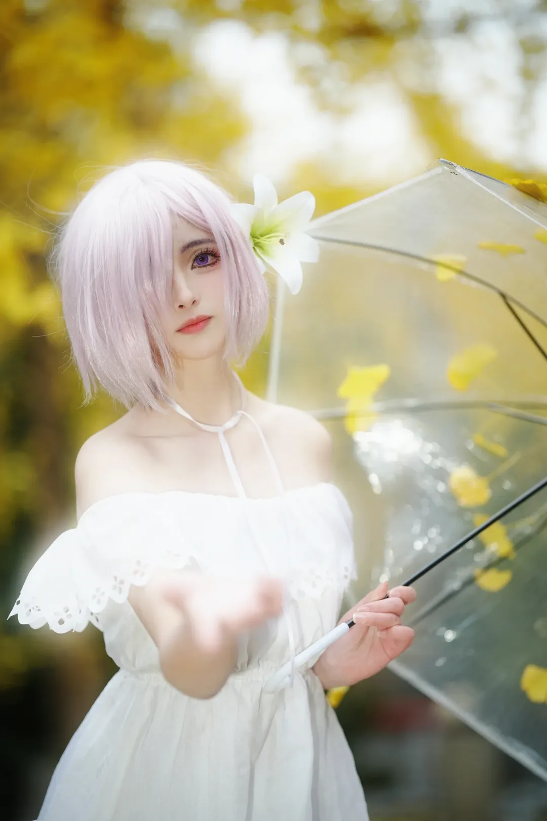 Fate/Grand Order, 人像摄影, 玛修cos, 白色丝袜, 银杏叶写真 - 第1张