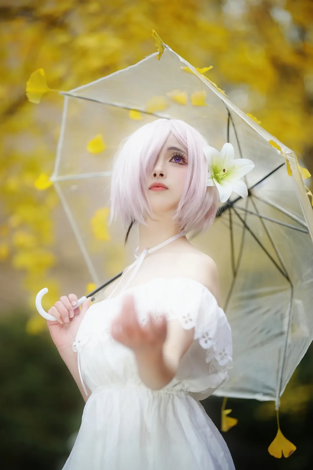 Fate/Grand Order, 人像摄影, 玛修cos, 白色丝袜, 银杏叶写真 - 第2张