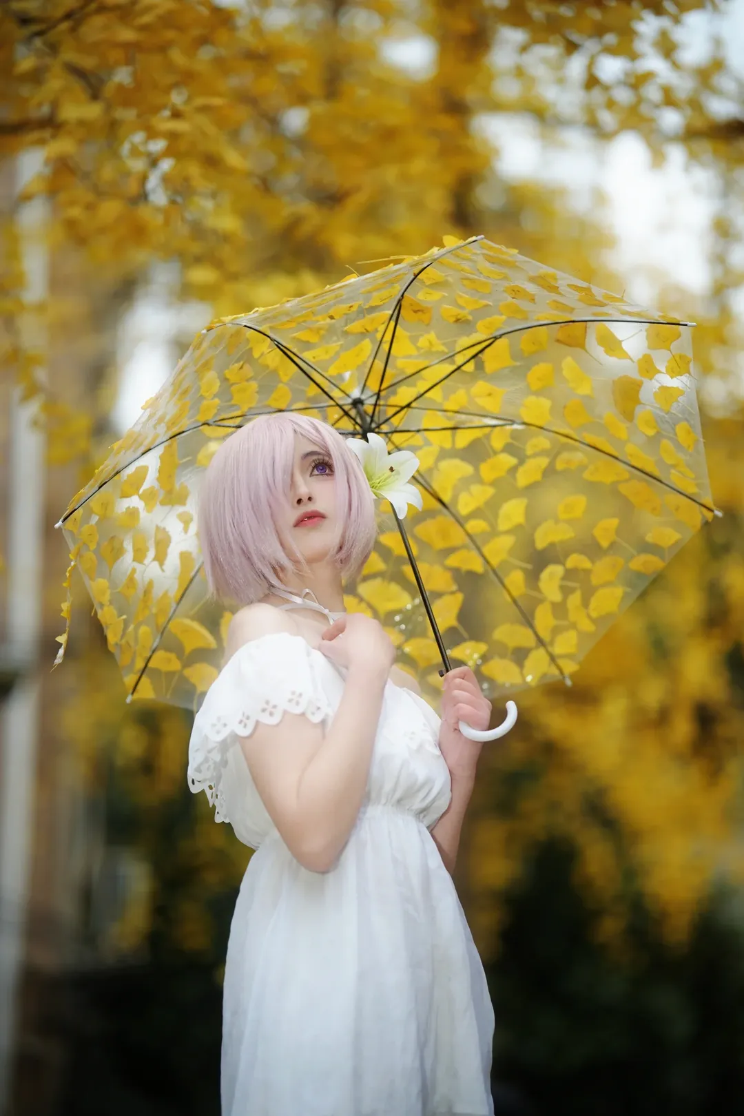 Fate/Grand Order, 人像摄影, 玛修cos, 白色丝袜, 银杏叶写真 - 第4张