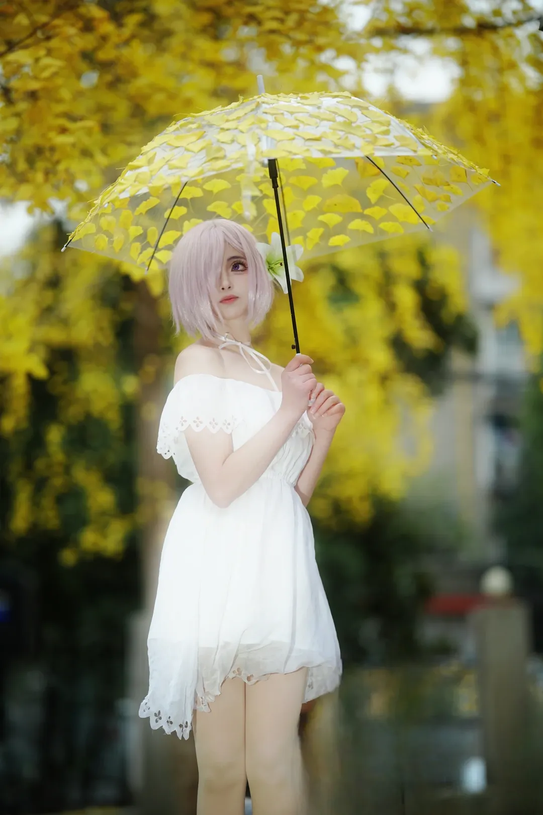 Fate/Grand Order, 人像摄影, 玛修cos, 白色丝袜, 银杏叶写真 - 第5张