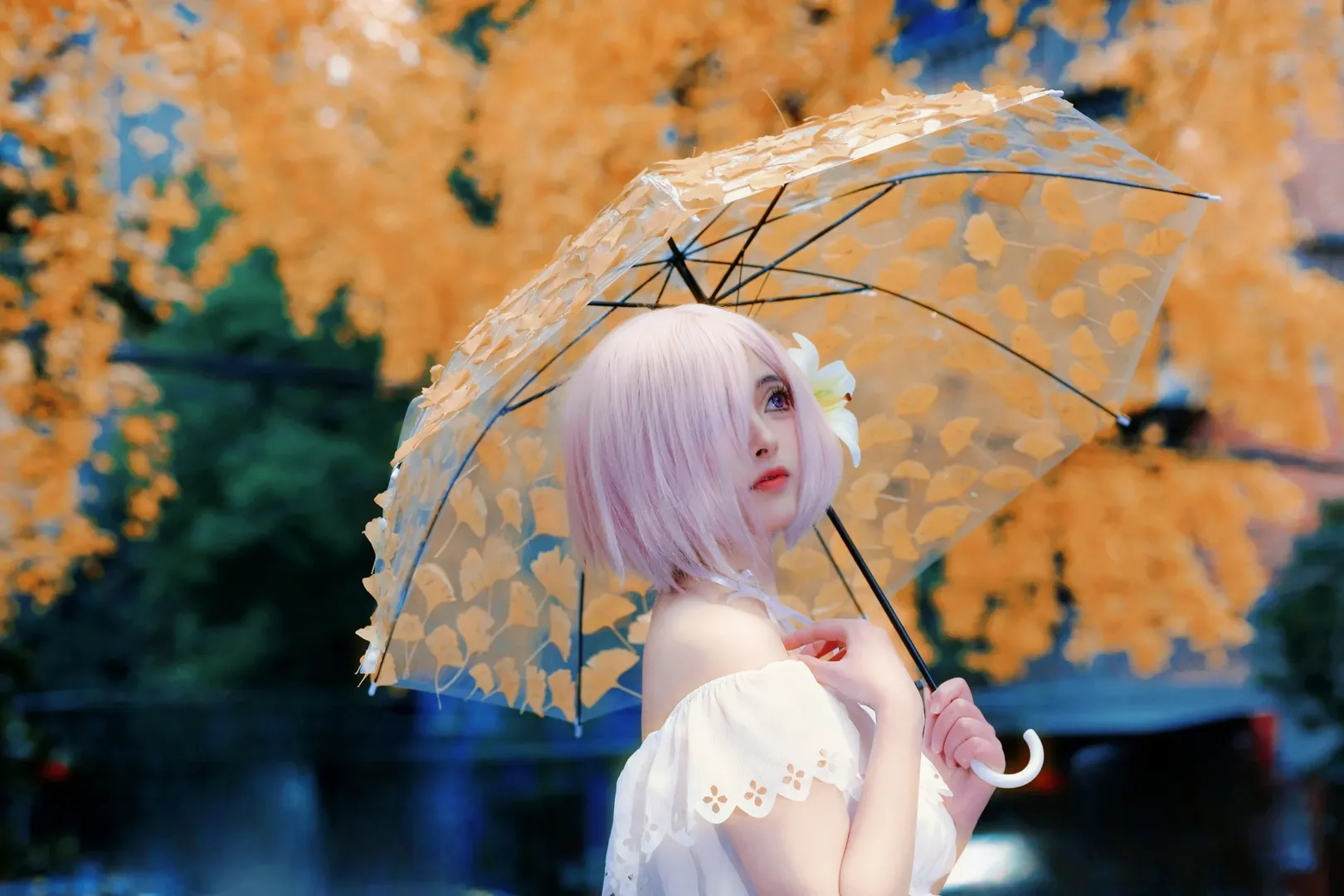 Fate, Mash cosplay, Cosplay portrait, Autumn outdoor scene, Ginkgo forest - Image 2