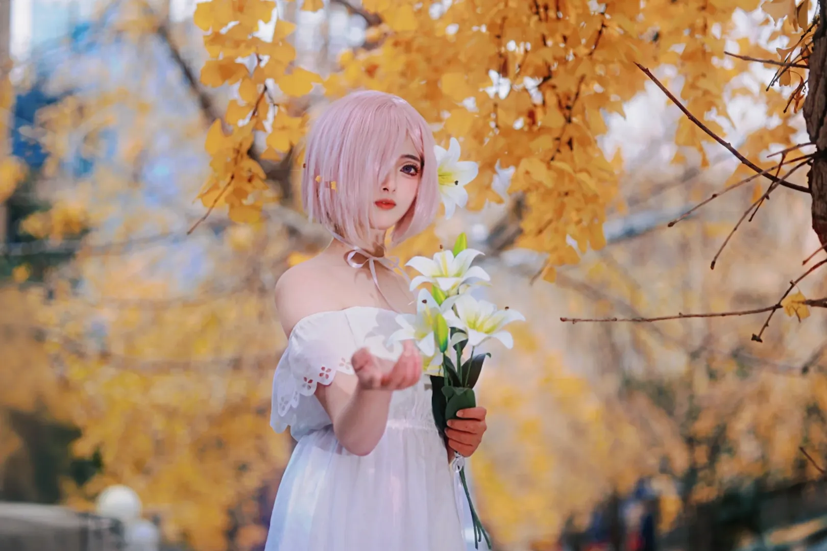 Fate, Mash cosplay, Cosplay portrait, Autumn outdoor scene, Ginkgo forest - Image 3