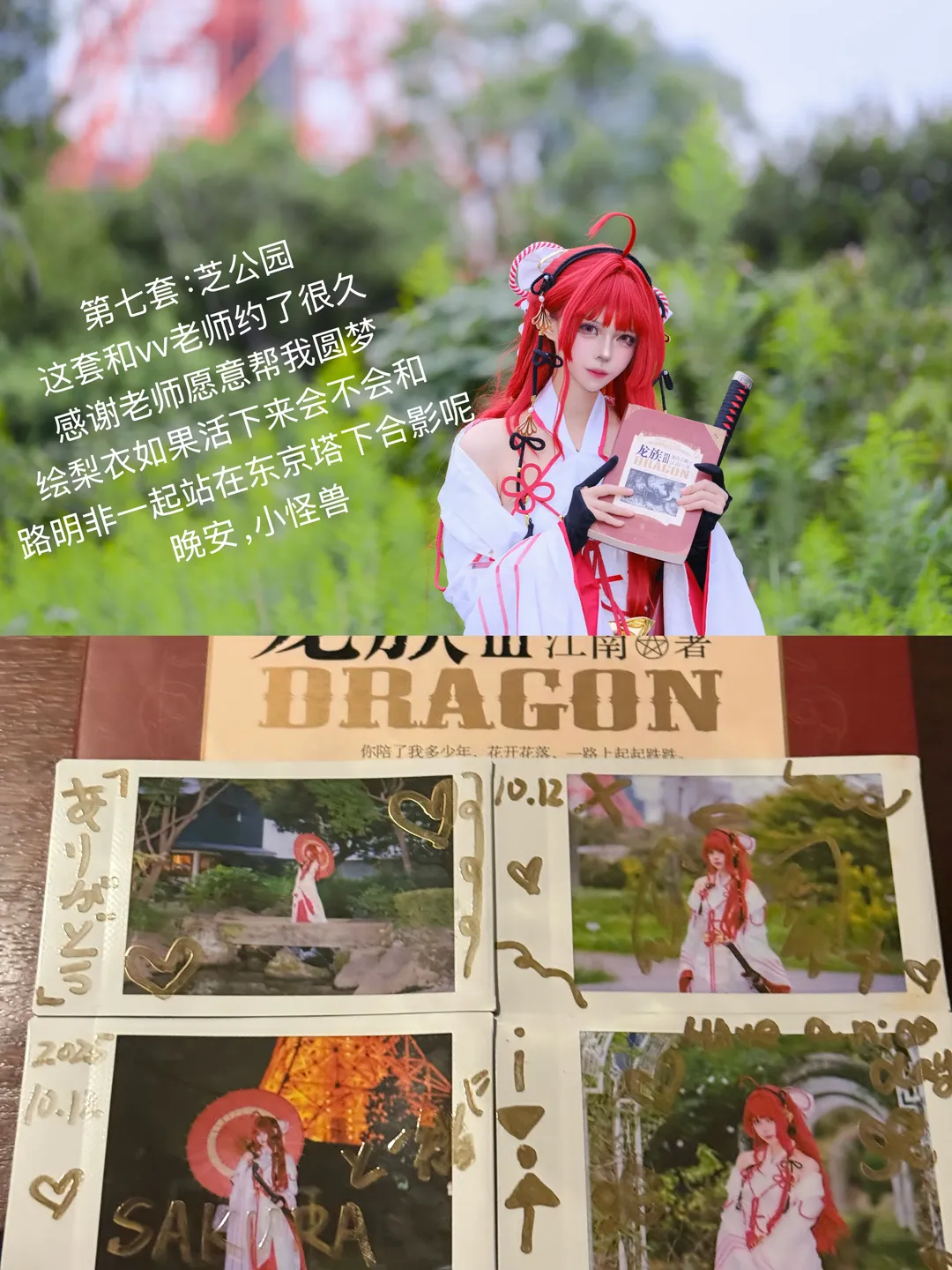 Erii Cosplay, Cheshire Cosplay, Honkai Impact 3rd, Asuka Cosplay, Black stockings - Image 8