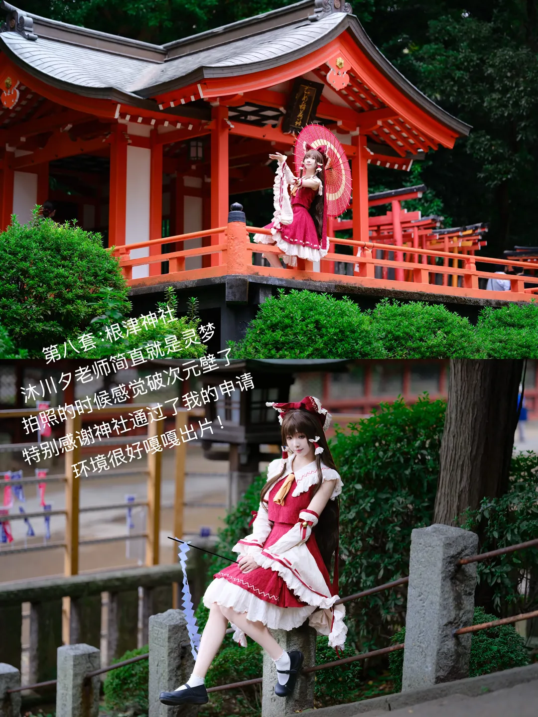 Erii Cosplay, Cheshire Cosplay, Honkai Impact 3rd, Asuka Cosplay, Black stockings - Image 9